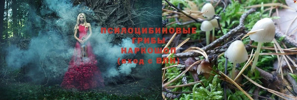 стаф Красноперекопск