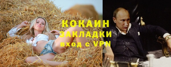 стафф Краснослободск